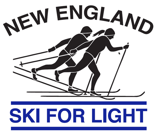 Two skiers logo